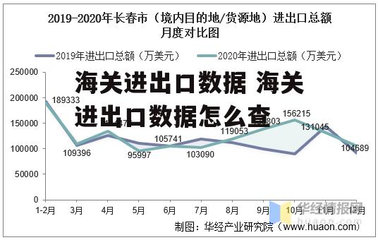 海关进出口数据 海关进出口数据怎么查