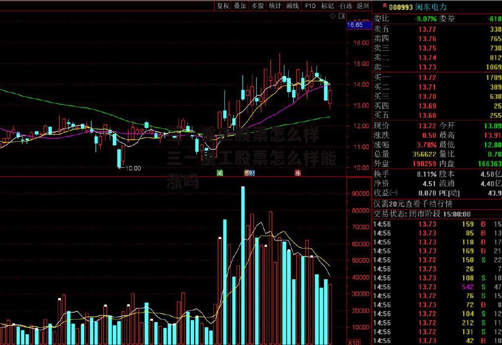 三一重工股票怎么样 三一重工股票怎么样能涨吗