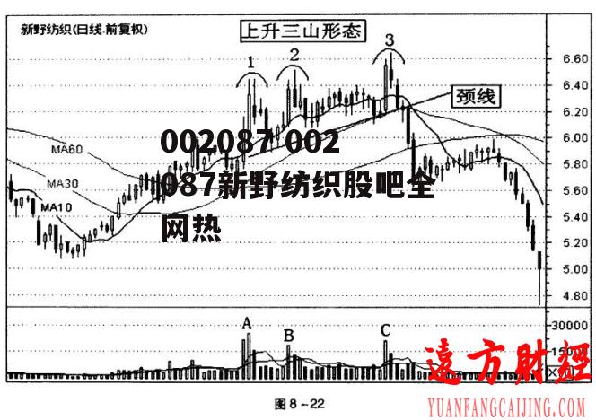 002087 002087新野纺织股吧全网热