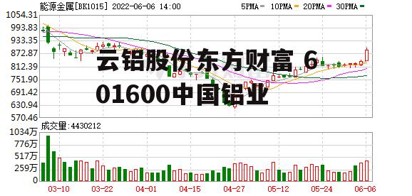 云铝股份东方财富 601600中国铝业