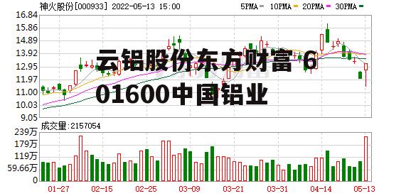 云铝股份东方财富 601600中国铝业