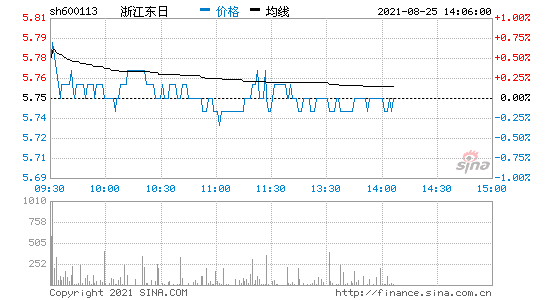 浙江东日 浙江东日集团公司简介