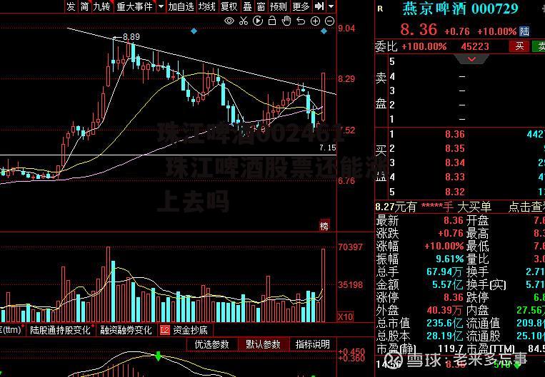 珠江啤酒002461 珠江啤酒股票还能涨上去吗