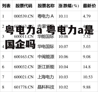 粤电力a 粤电力a是国企吗