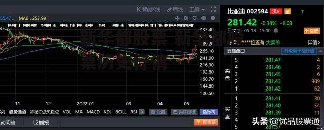 新华都股票 新华都股票历史行情