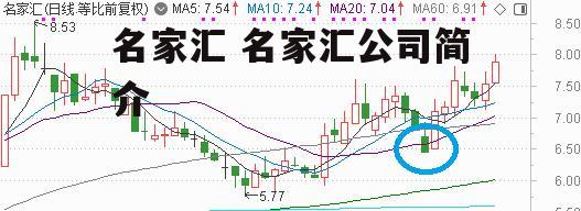 名家汇 名家汇公司简介