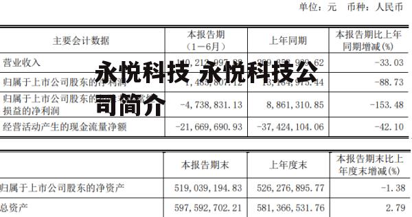 永悦科技 永悦科技公司简介