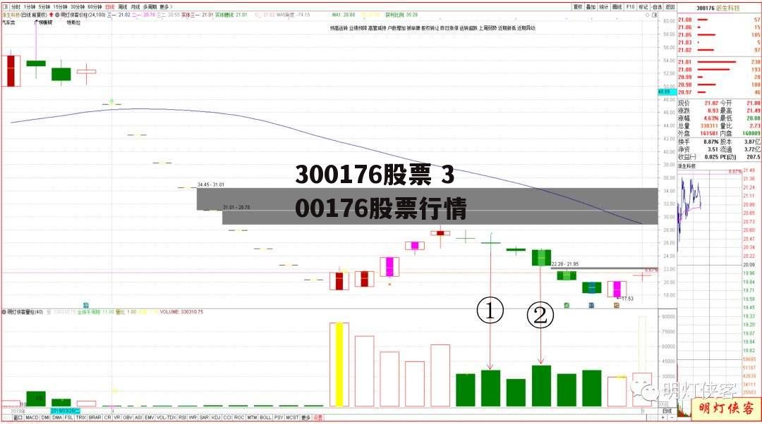 300176股票 300176股票行情