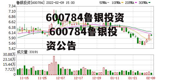 600784鲁银投资 600784鲁银投资公告