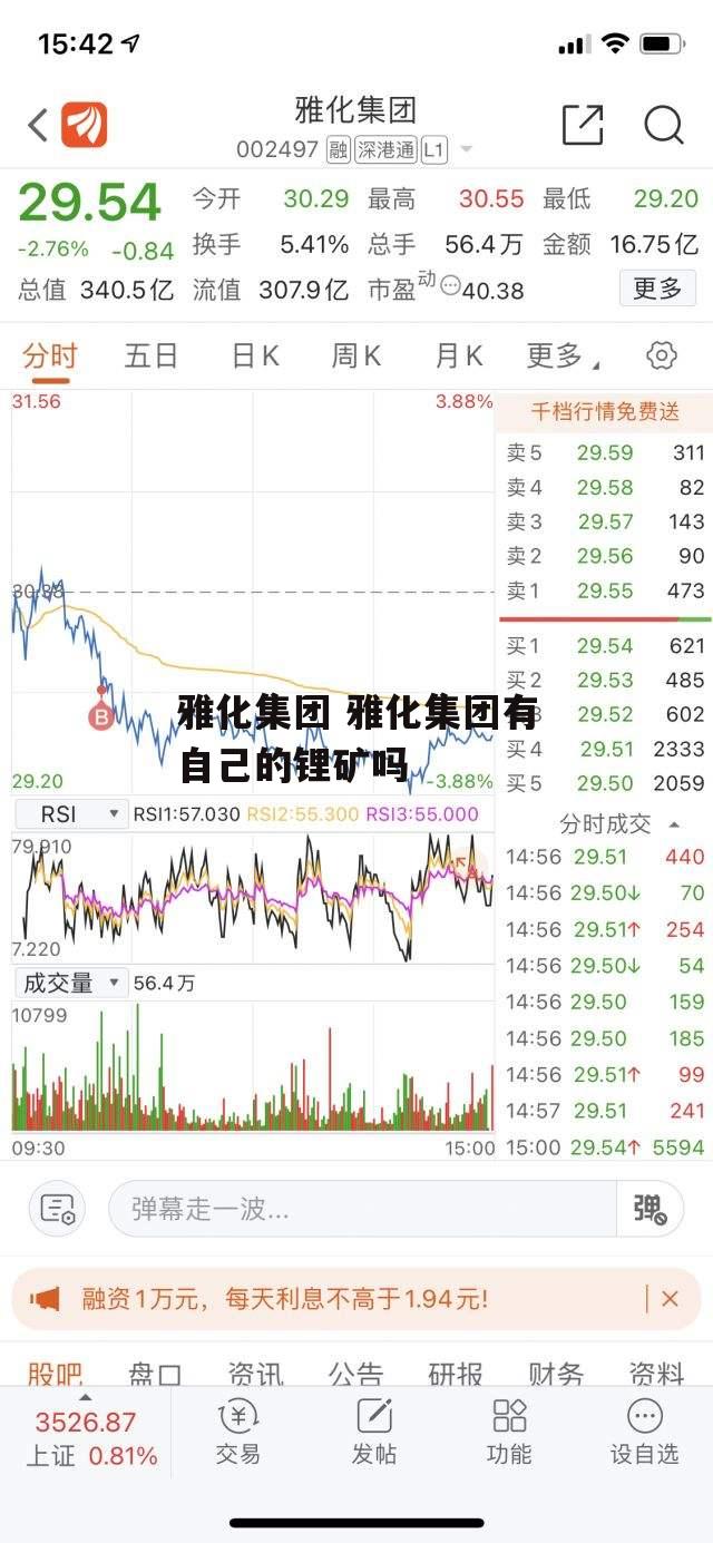 雅化集团 雅化集团有自己的锂矿吗