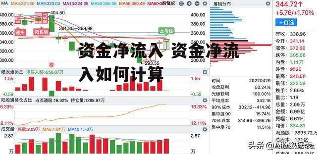 资金净流入 资金净流入如何计算