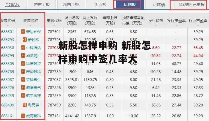 新股怎样申购 新股怎样申购中签几率大