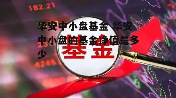 华安中小盘基金 华安中小盘的基金净值是多少