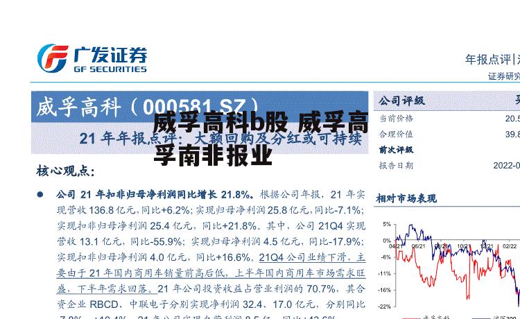 威孚高科b股 威孚高孚南非报业