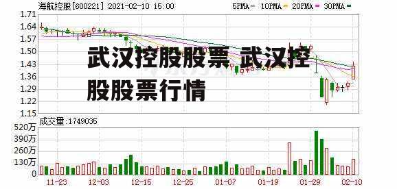 武汉控股股票 武汉控股股票行情