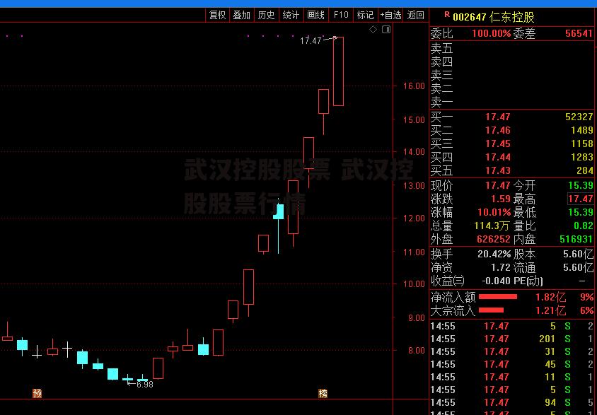武汉控股股票 武汉控股股票行情