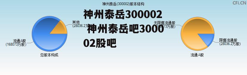 神州泰岳300002 神州泰岳吧300002股吧