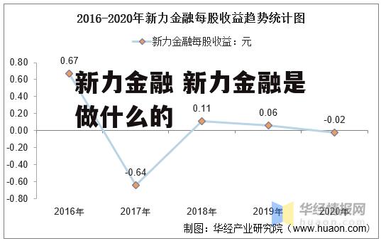 新力金融 新力金融是做什么的