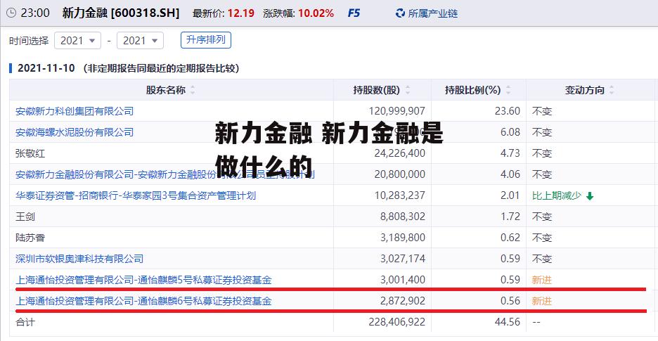 新力金融 新力金融是做什么的