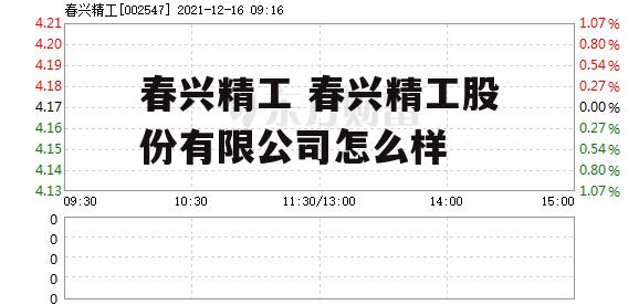 春兴精工 春兴精工股份有限公司怎么样