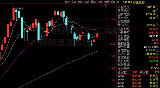 汇金股份股票 汇金股份股票怎么样