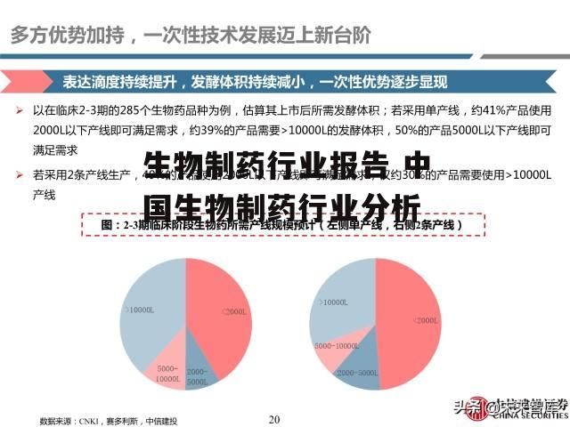 生物制药行业报告 中国生物制药行业分析