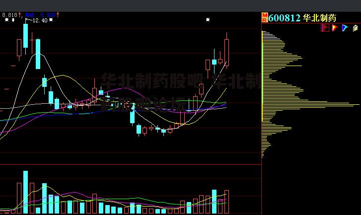 华北制药股吧 华北制药股吧论坛