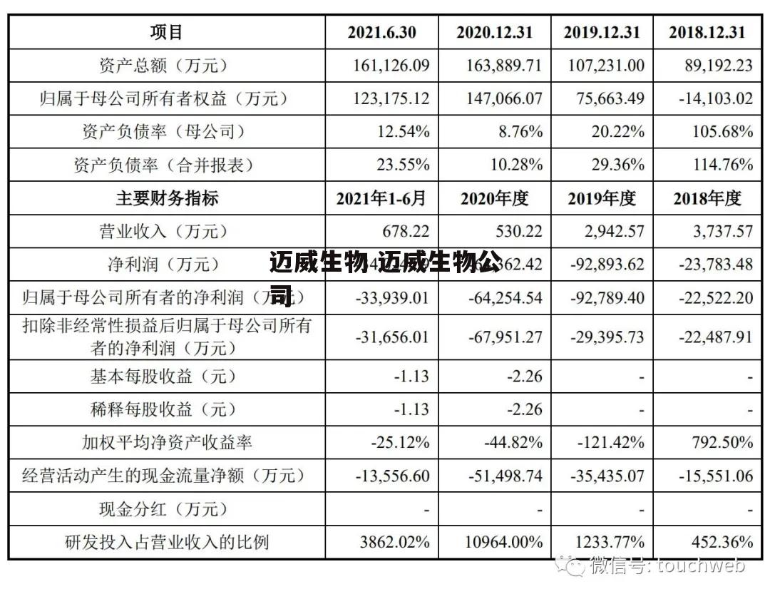 迈威生物 迈威生物公司