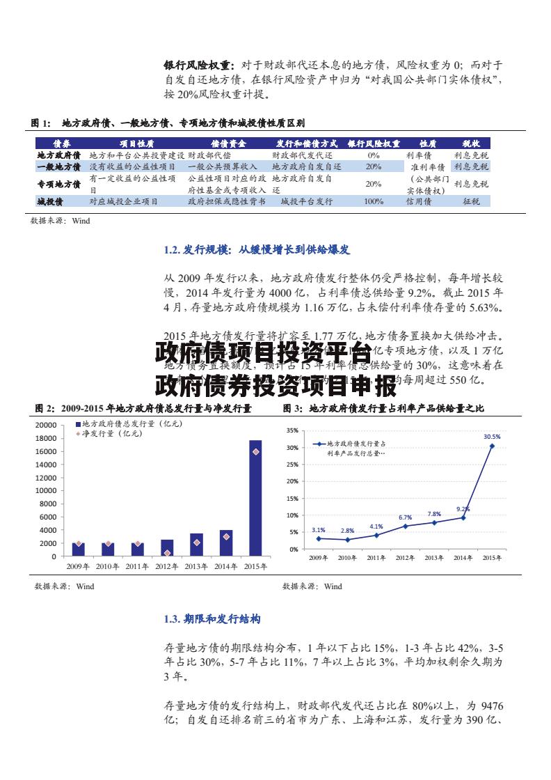 政府债项目投资平台 政府债券投资项目申报