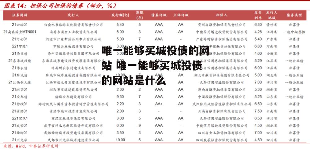 唯一能够买城投债的网站 唯一能够买城投债的网站是什么