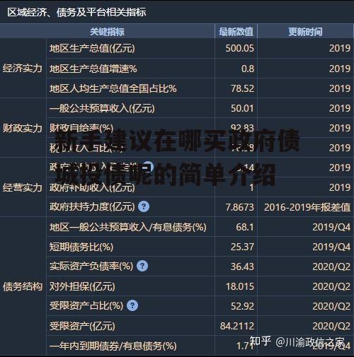 新手建议在哪买政府债城投债呢的简单介绍