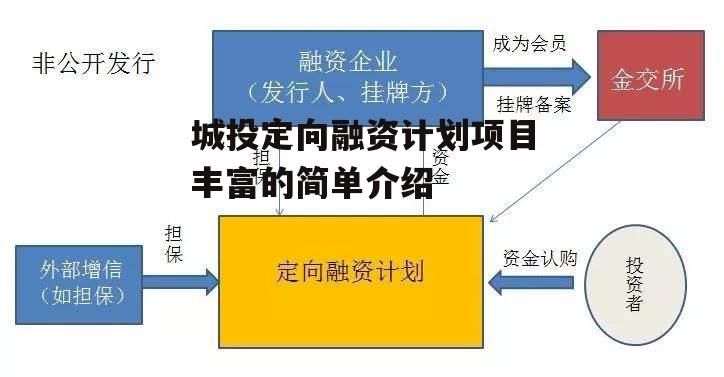 城投定向融资计划项目丰富的简单介绍