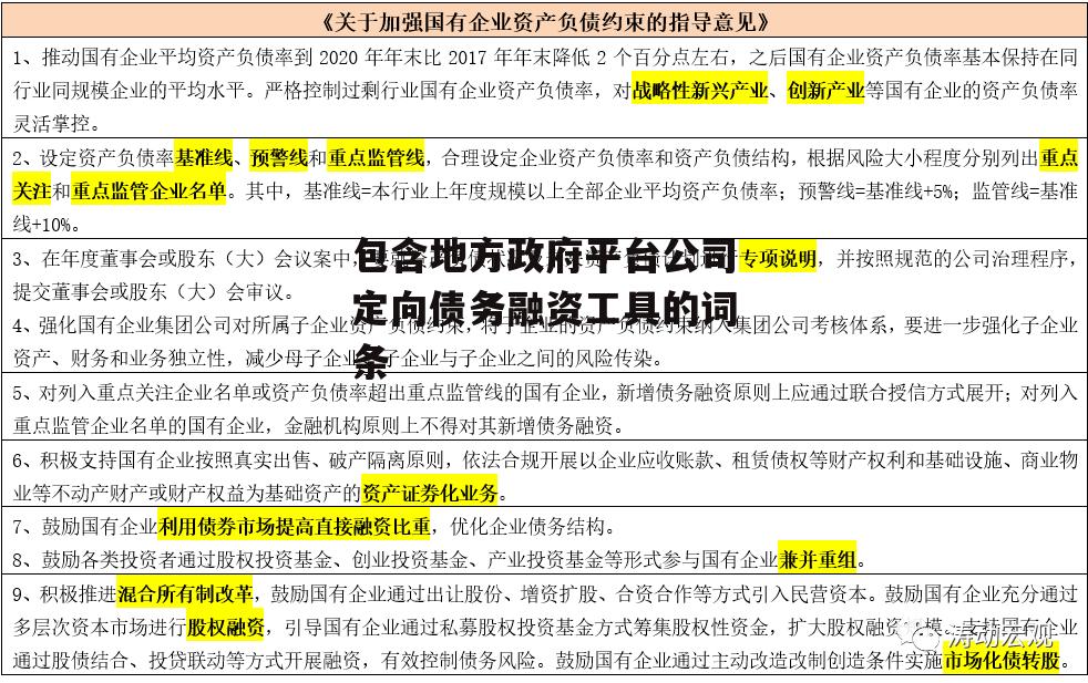 包含地方政府平台公司定向债务融资工具的词条