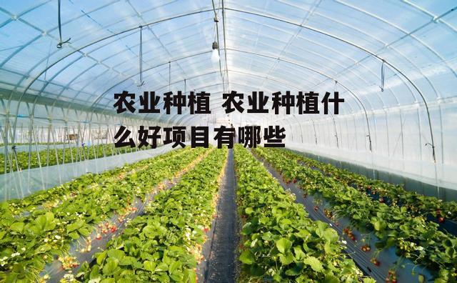 农业种植 农业种植什么好项目有哪些