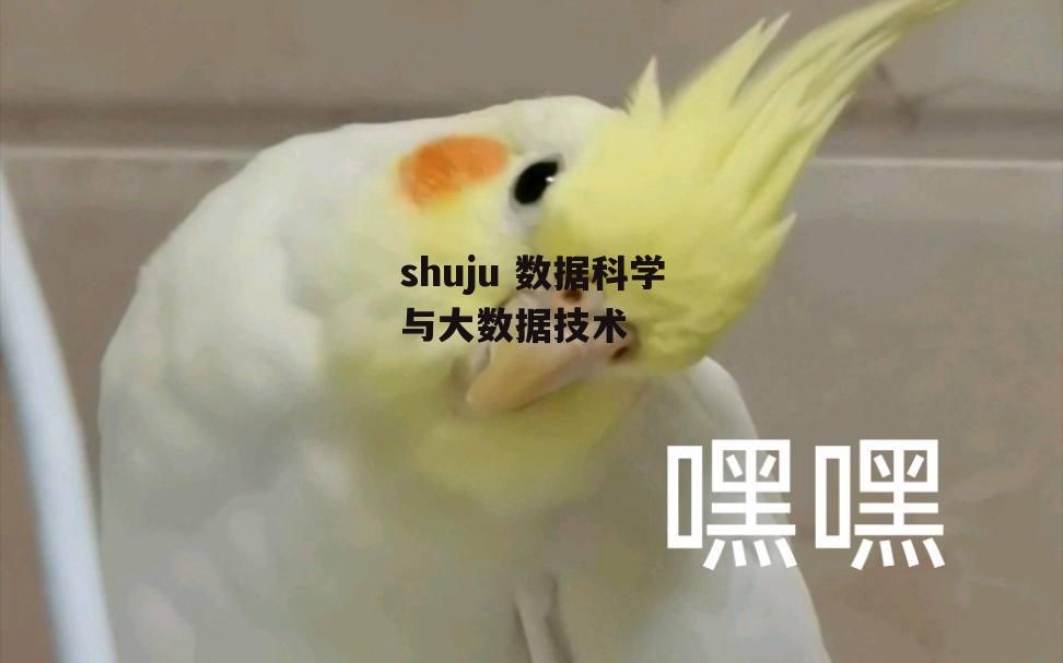 shuju 数据科学与大数据技术