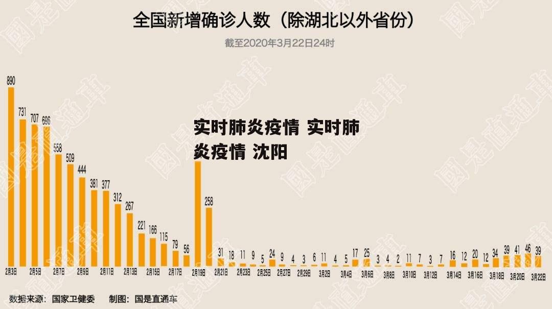 实时肺炎疫情 实时肺炎疫情 沈阳