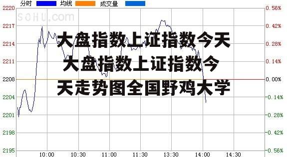 大盘指数上证指数今天 大盘指数上证指数今天走势图全国野鸡大学