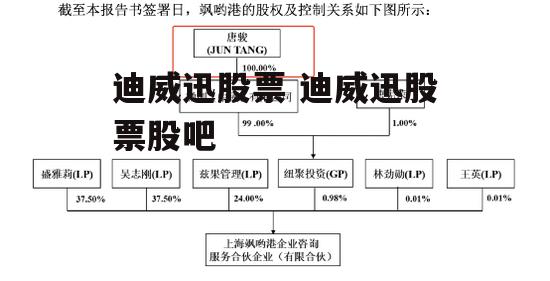 迪威迅股票 迪威迅股票股吧