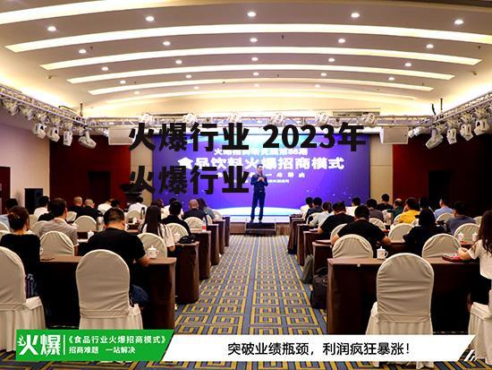 火爆行业 2023年火爆行业