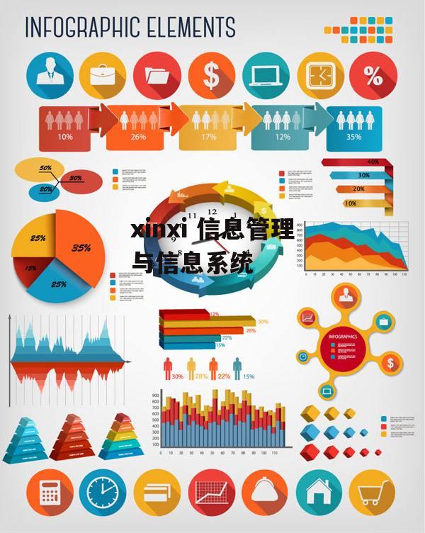 xinxi 信息管理与信息系统