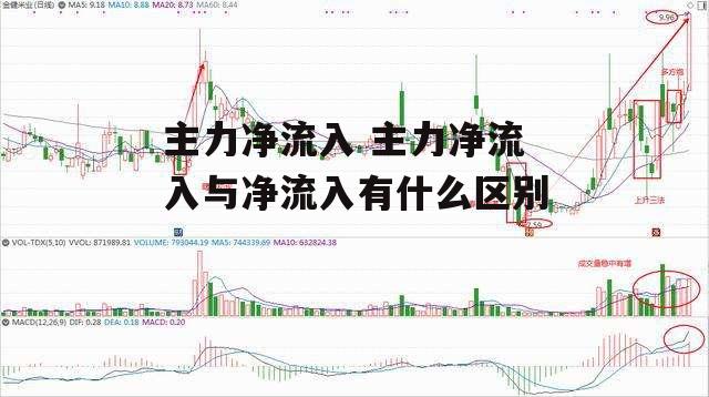 主力净流入 主力净流入与净流入有什么区别