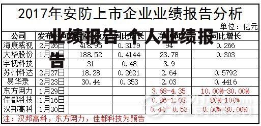 业绩报告 个人业绩报告