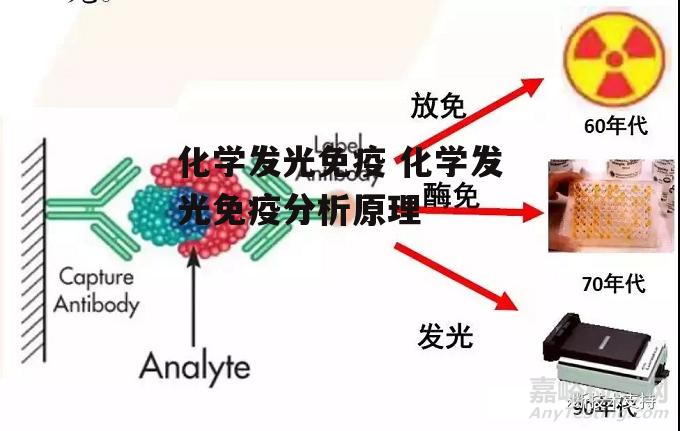 化学发光免疫 化学发光免疫分析原理