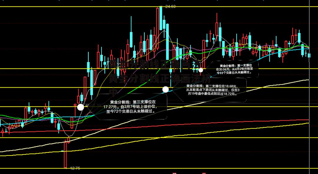 黄金分割线正确画法 黄金分割线正确画法初中