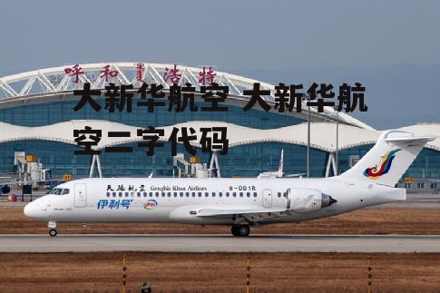 大新华航空 大新华航空二字代码