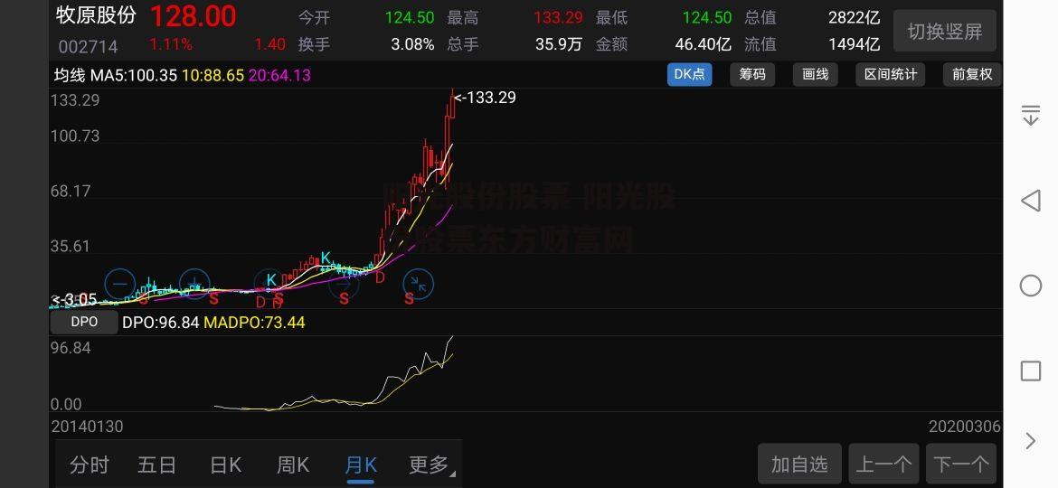 阳光股份股票 阳光股份股票东方财富网