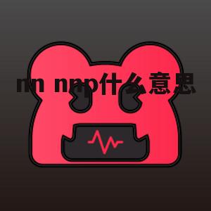 nn nnp什么意思