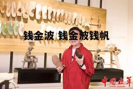 钱金波 钱金波钱帆