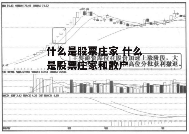 什么是股票庄家 什么是股票庄家和散户