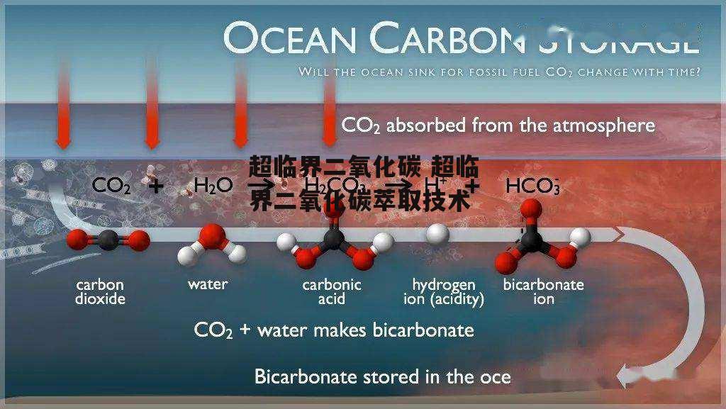 超临界二氧化碳 超临界二氧化碳萃取技术